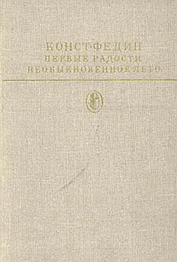 Константин Федин Первые радости обложка книги