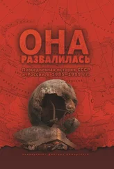 Евгений Бузев - Она развалилась. Повседневная история СССР и России в 1985—1999 гг.