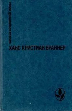 Ханс Браннер Ариэль обложка книги