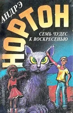 Андрэ Нортон Семь чудес к воскресенью обложка книги