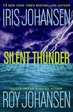 Iris Johansen Silent Thunder обложка книги