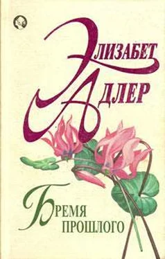 Элизабет Адлер Бремя прошлого обложка книги