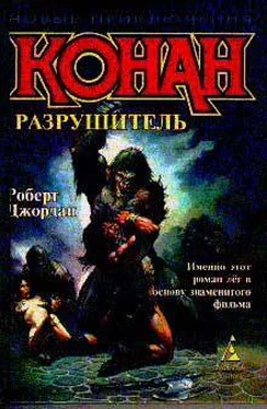 Роберт Джордан Разрушитель обложка книги