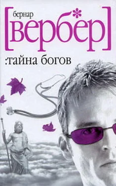 Бернард Вербер Тайна Богов обложка книги