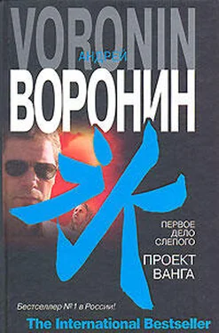 Андрей Воронин Первое дело слепого. Проект Ванга обложка книги