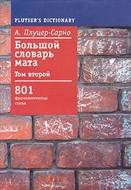 Алексей Плуцер-Сарно Большой словарь мата. Том 2 обложка книги