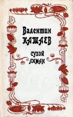 Валентин Катаев Спящий обложка книги