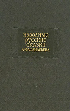 Александр Афанасьев Народные русские сказки А. Н. Афанасьева в трех томах. Том 2 обложка книги