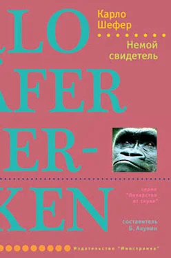 Карло Шефер Немой свидетель обложка книги