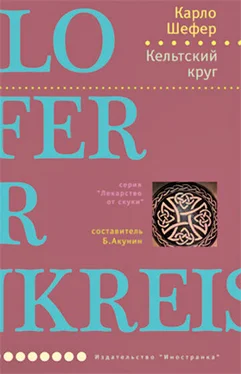 Карло Шефер Кельтский круг обложка книги