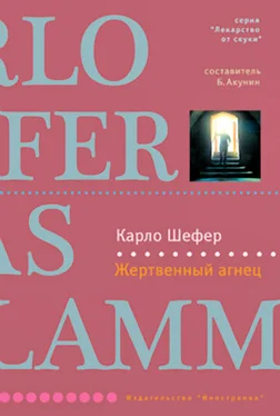 Карло Шефер Жертвенный агнец обложка книги