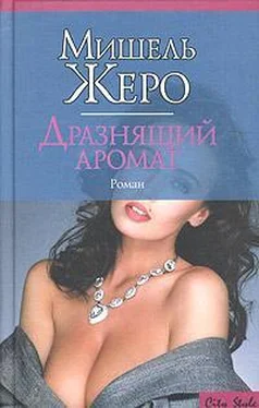 Мишель Жеро Дразнящий аромат обложка книги