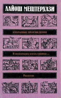 Лайош Мештерхази Похмелье обложка книги