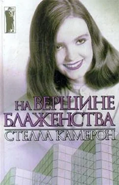 Стелла Камерон На вершине блаженства обложка книги