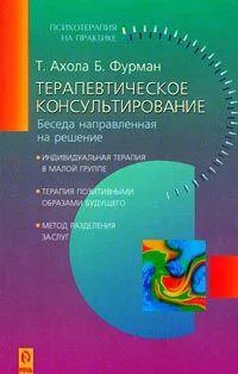 Т. Ахола Терапевтическое консультирование. Беседа, направленная на решение обложка книги