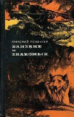 Григорий Полянкер Соседка обложка книги