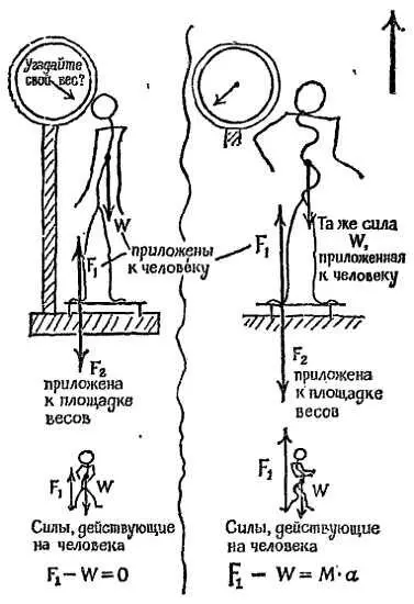 Фиг 211 Опыт со взвешиванием в ускоренно движущемся лифте слева лифт - фото 195