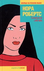 Нора Робертс - Северное сияние