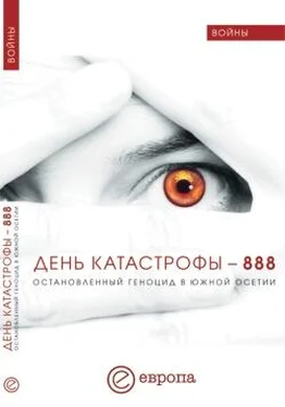 Модест Колеров День катастрофы – 888. Остановленный геноцид в Южной Осетии обложка книги