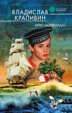 Владислав Крапивин Бриг «Артемида» обложка книги