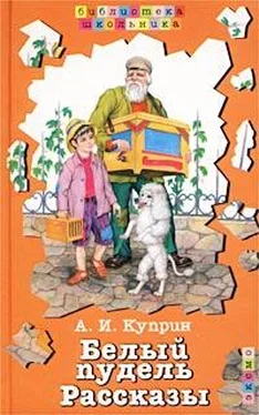 Александр Куприн Скворцы обложка книги