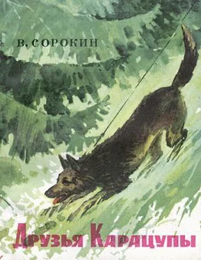 Василий Сорокин Друзья Карацупы обложка книги