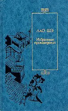 Шэ Лао Соседи обложка книги