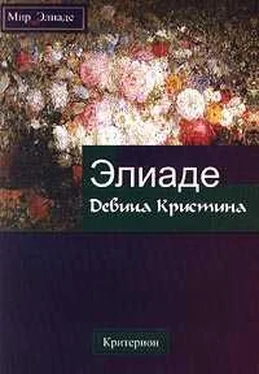 Мирча Элиаде Девица Кристина обложка книги