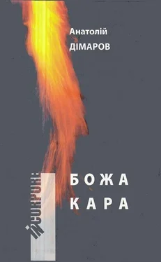 Анатолий Димаров Божа кара обложка книги