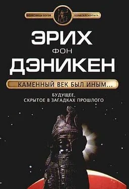 Эрих Дэникен Каменный век был иным… обложка книги