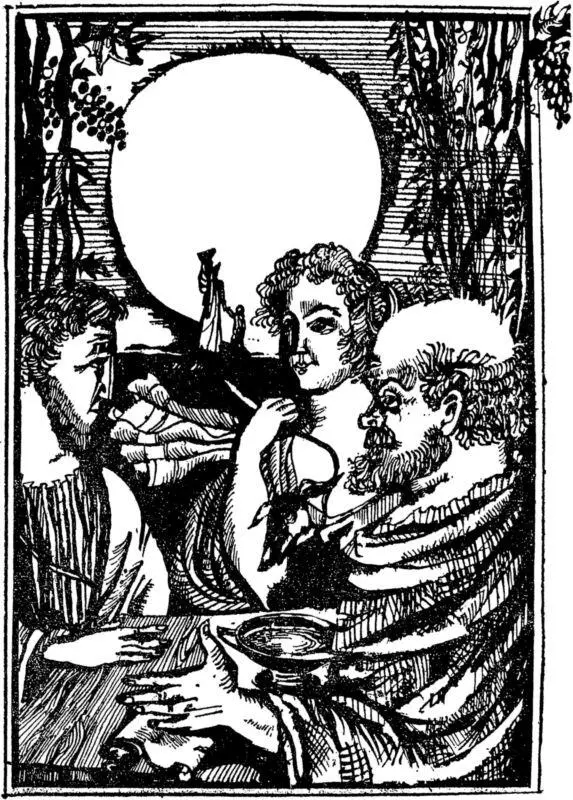 Друзья же Сократа издали поверх плетня разглядели гостей и Платон узнал - фото 27