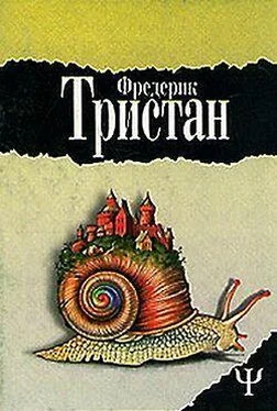 Фредерик Тристан Героические злоключения Бальтазара Кобера обложка книги