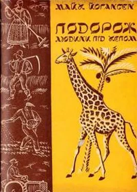 Майк Йогансен Подорож людини під кепом (Єврейські колонії) обложка книги