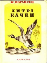 Майк Йогансен - Хитрі качки