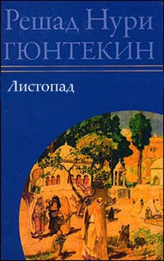 Решад Нури Гюнтекин Листопад обложка книги