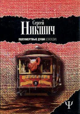 Сергей Никшич Соседи обложка книги