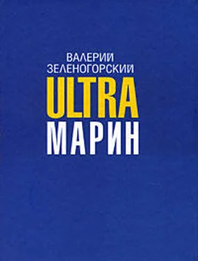 Валерий Зеленогорский ULTRAмарин обложка книги