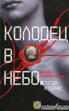 Елена Афанасьева Колодец в небо обложка книги