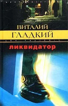 Виталий Гладкий Ликвидатор обложка книги