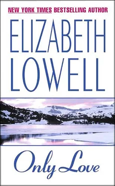 Elizabeth Lowell Only Love обложка книги