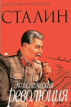 Д.Н. Верхотуров Сталин Экономическая революция