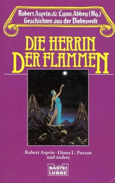 Robert Asprin Die Herrin der Flammen обложка книги