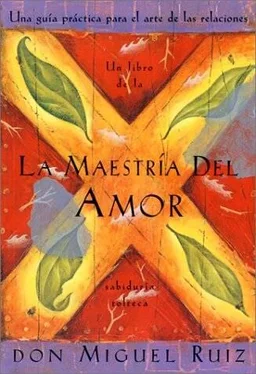 Miguel Ruiz La Maestria Del Amor: Una guía práctica Para el arte de las relaciones обложка книги