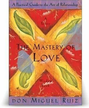 Miguel Ruiz The Mastery Of Love: A Practical Guide to the Art of Relationship обложка книги