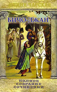 Лидия Чарская Бичо-Джан обложка книги