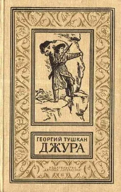 Георгий Тушкан Джура. Приключенческий роман (с иллюстрациями) обложка книги