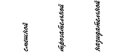 Плавучая опера - фото 15