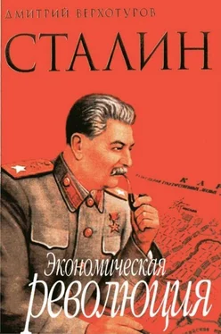 Д. Верхотуров Сталин Экономическая революция обложка книги