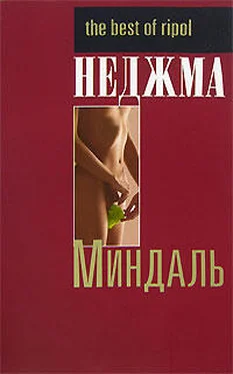Неджма Миндаль обложка книги