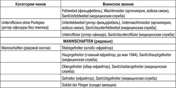 К военным чиновникам относились музыканты военные священники ветеринарная - фото 150